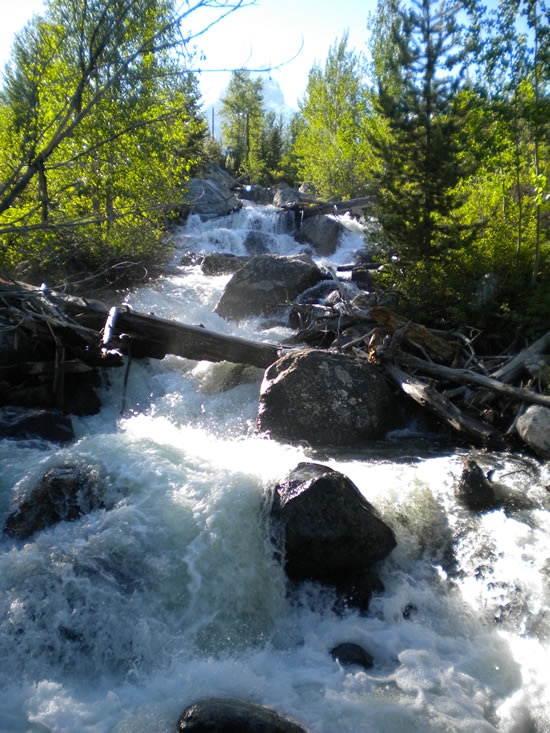 Grand Teton NP